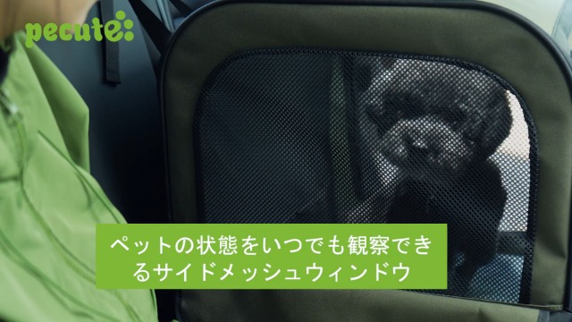 Amazon.co.jp: Pecute ペット ソフトクレートケージ 猫犬用 キャリー
